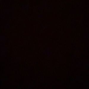 Meet your Posher, Alisha